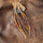 Astali Long Feather Earrings | Boho Western Statement Jewelry